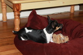 Enlarge photo 5