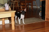 Enlarge photo 4