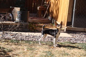 Enlarge photo 4