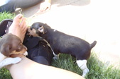 Enlarge photo 7