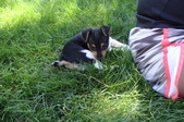 Enlarge photo 9