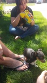 Enlarge photo 11