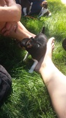 Enlarge photo 12