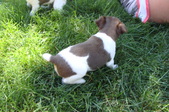 Enlarge photo 6