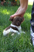 Enlarge photo 7