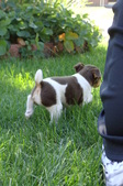 Enlarge photo 5