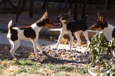 Enlarge photo 2