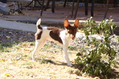 Enlarge photo 4