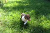 Enlarge photo 5