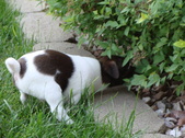 Enlarge photo 23