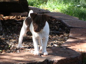 Enlarge photo 6