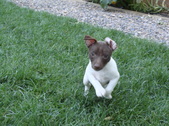 Enlarge photo 10