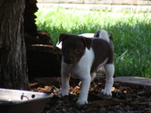 Enlarge photo 9