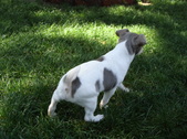 Enlarge photo 7