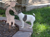 Enlarge photo 6