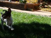 Enlarge photo 20
