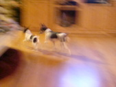 Enlarge photo 23