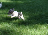 Enlarge photo 10