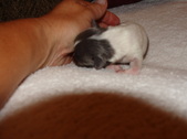 Enlarge photo 16