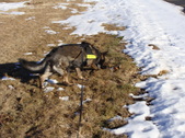 Enlarge photo 14
