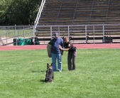 Enlarge photo 30