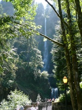 Enlarge photo 66