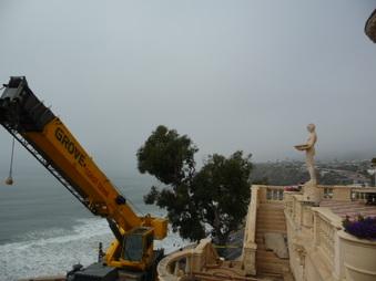 Enlarge photo 13