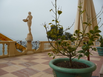 Enlarge photo 19
