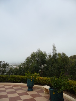 Enlarge photo 38