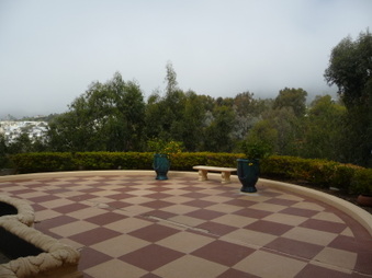 Enlarge photo 41