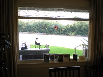 Enlarge photo 7
