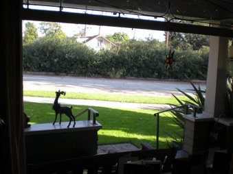 Enlarge photo 8