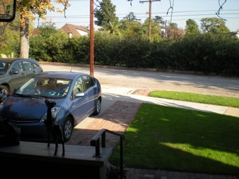 Enlarge photo 10