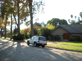 Enlarge photo 51