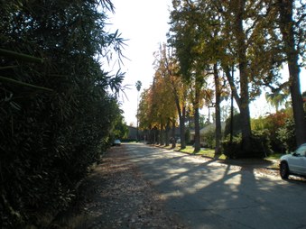 Enlarge photo 52