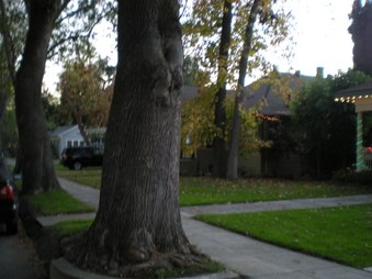 Enlarge photo 41
