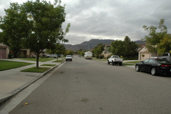 Enlarge photo 41