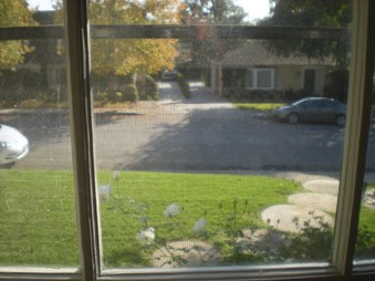 Enlarge photo 40