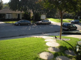 Enlarge photo 41