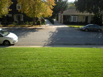 Enlarge photo 42