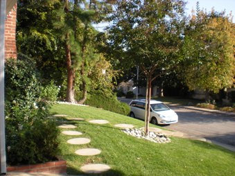 Enlarge photo 43