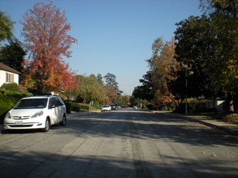 Enlarge photo 44