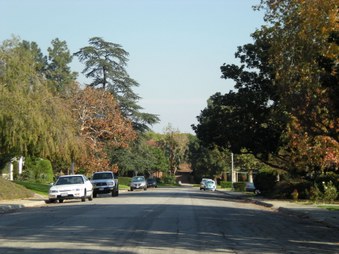 Enlarge photo 46