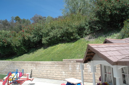 Enlarge photo 20