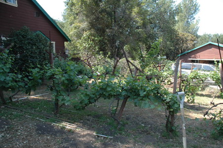 Enlarge photo 8