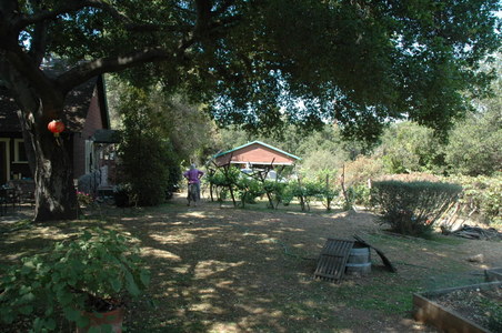 Enlarge photo 12