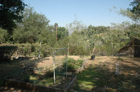 Enlarge photo 13
