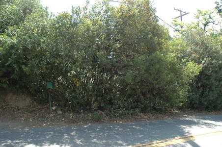 Enlarge photo 27