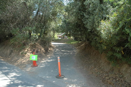 Enlarge photo 30