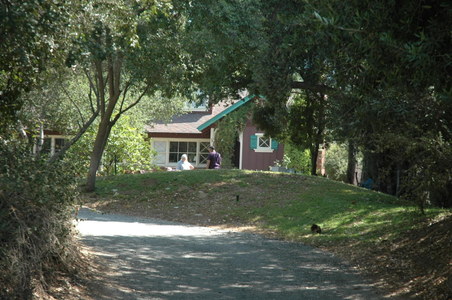 Enlarge photo 31